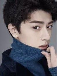 林一全部资料,从青春偶像到实力派演员的蜕变之路