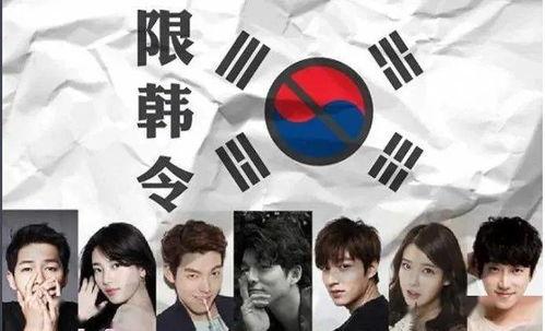 限韩令背景,限韩令背后的中韩关系演变与影响解析